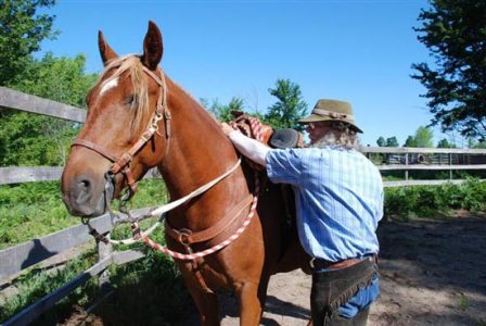 Horse Ride Becomes an Adventure Image